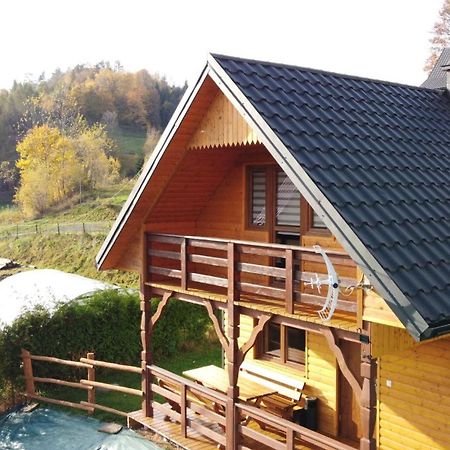 Domek Dzikusowka 1 Bieszczady Solina Polanczyk Zawoz Cisna Gorzanka エクステリア 写真
